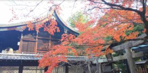 京都の紅葉1